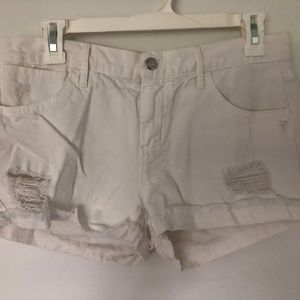 Koral Cotton Shorts
